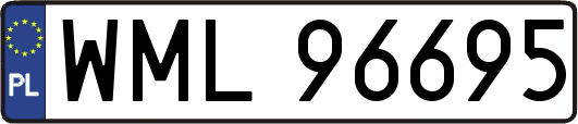 WML96695