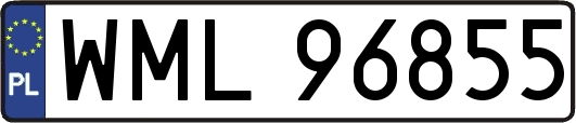 WML96855