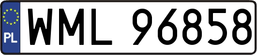 WML96858