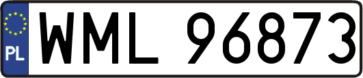WML96873