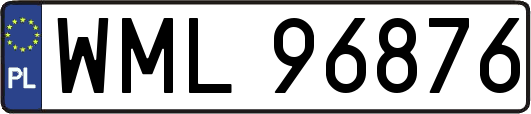WML96876
