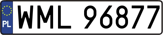 WML96877
