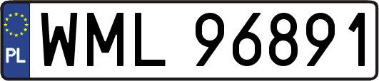 WML96891