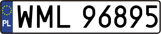 WML96895