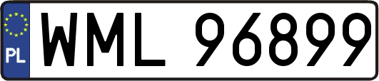 WML96899