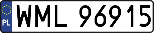 WML96915