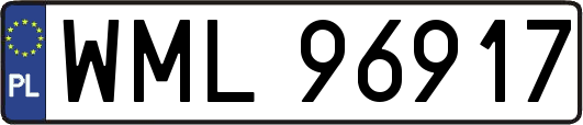 WML96917