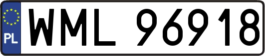 WML96918