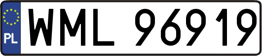 WML96919
