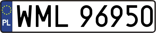 WML96950