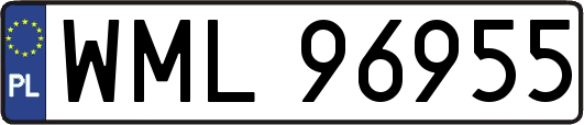 WML96955