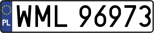 WML96973