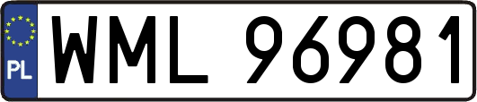 WML96981