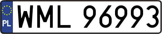 WML96993