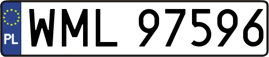WML97596