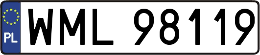 WML98119