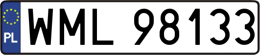 WML98133