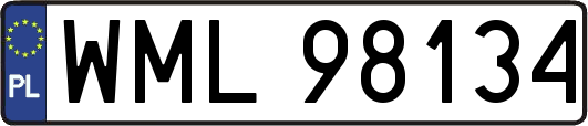 WML98134
