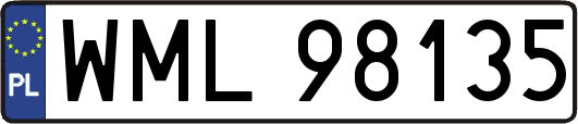 WML98135