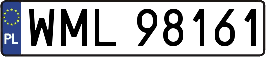 WML98161