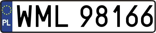 WML98166