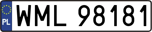 WML98181