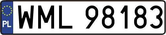 WML98183