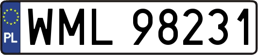 WML98231