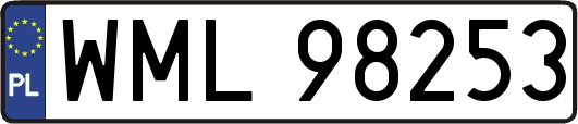 WML98253