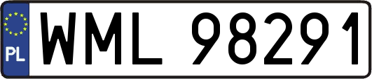 WML98291