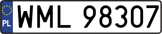 WML98307