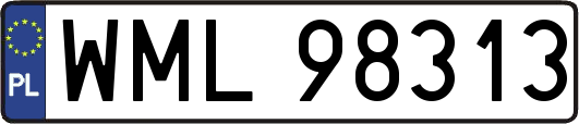 WML98313