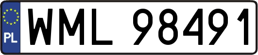 WML98491