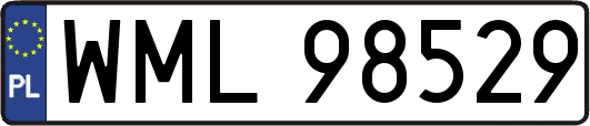 WML98529
