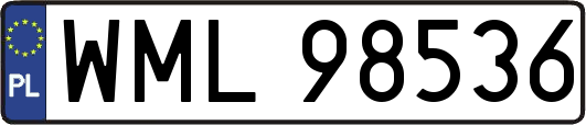 WML98536