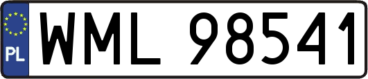 WML98541