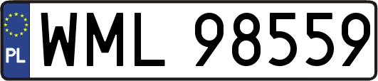 WML98559
