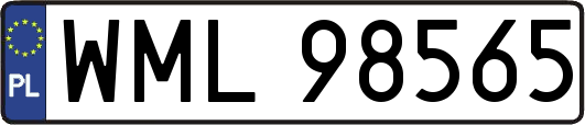 WML98565
