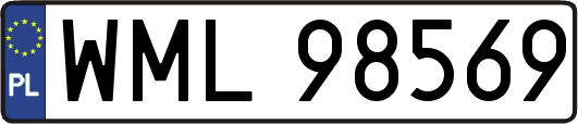 WML98569