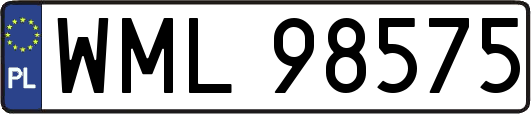 WML98575