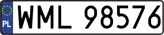 WML98576