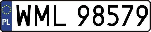 WML98579