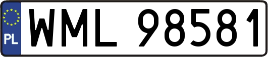 WML98581