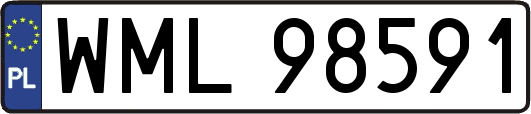 WML98591