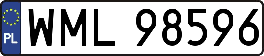 WML98596