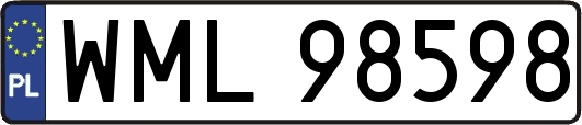 WML98598