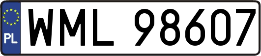 WML98607