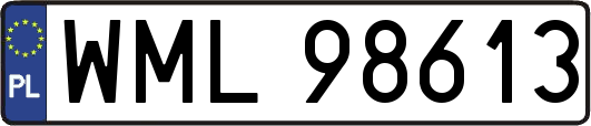 WML98613