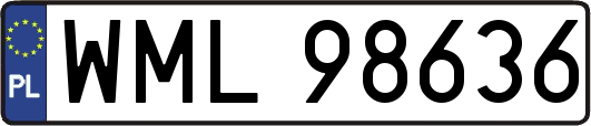 WML98636