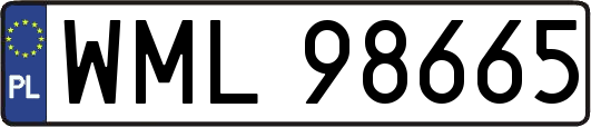 WML98665